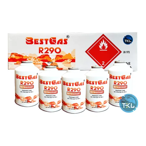 Gas lạnh BestGas R290 (lon 100 g)