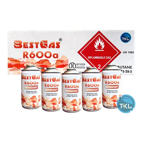 Gas lạnh BestGas R600a (lon 120 g)