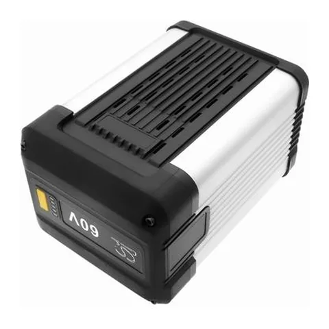 Pin 60V-5.0Ah WORX WA3038