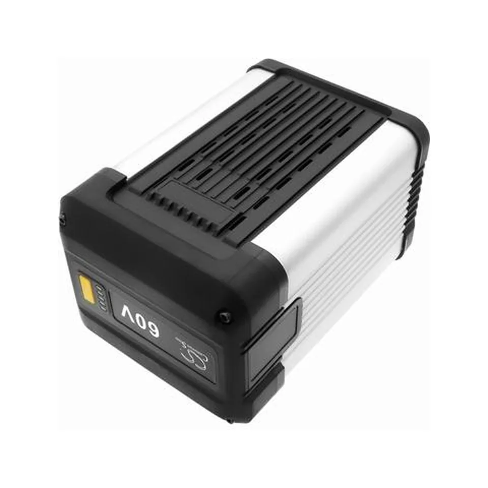 Pin 60V-5.0Ah WORX WA3038