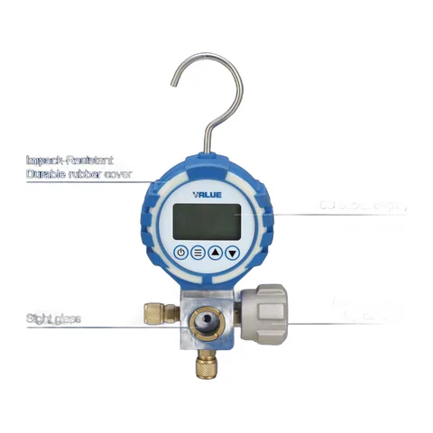 Đồng hồ VALUE VDG-S1
