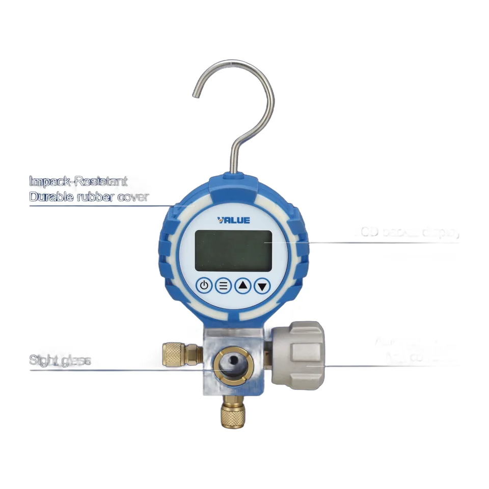 Đồng hồ VALUE VDG-S1